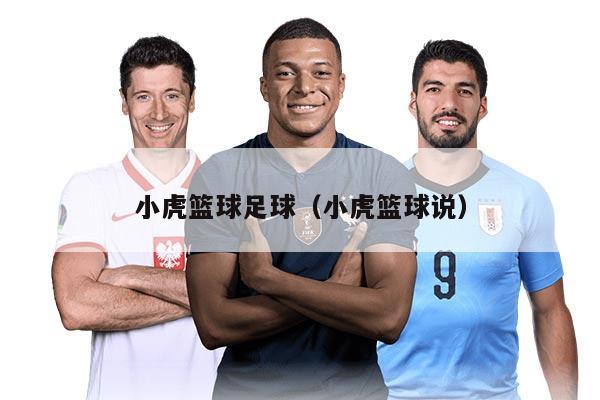 小虎篮球足球（小虎篮球说）