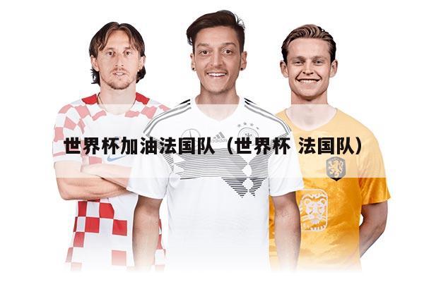 世界杯加油法国队（世界杯 法国队）