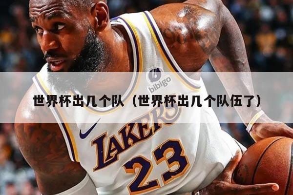 世界杯出几个队（世界杯出几个队伍了）