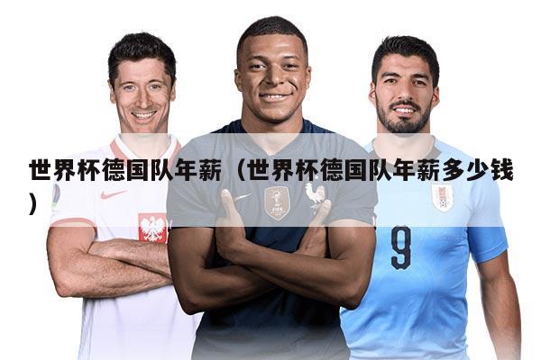 世界杯德国队年薪（世界杯德国队年薪多少钱）
