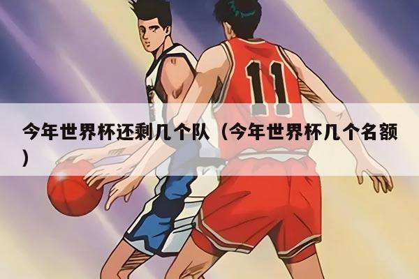 今年世界杯还剩几个队（今年世界杯几个名额）