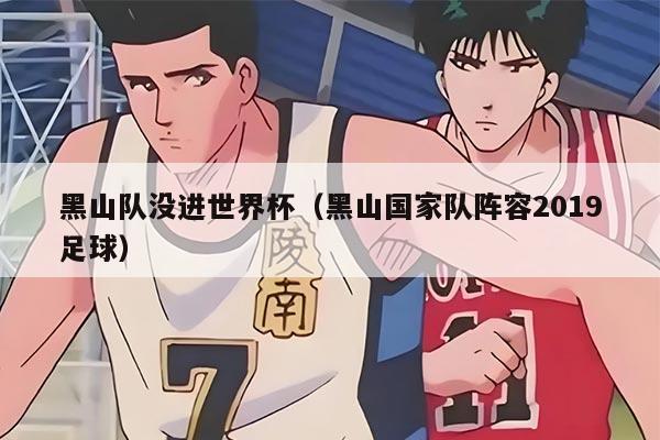 黑山队没进世界杯（黑山国家队阵容2019足球）