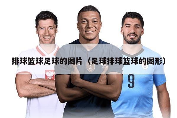 排球篮球足球的图片（足球排球篮球的图形）