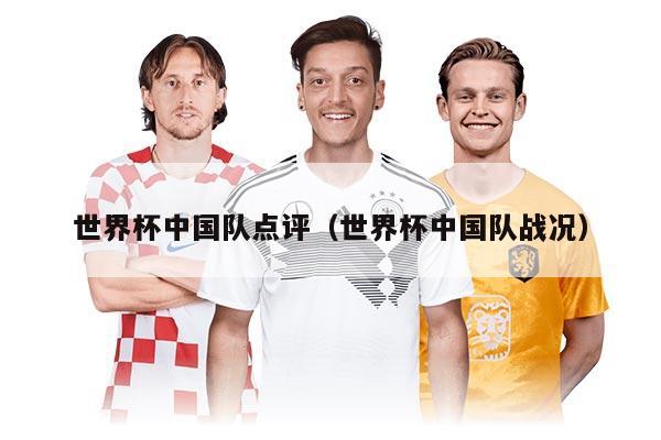 世界杯中国队点评（世界杯中国队战况）
