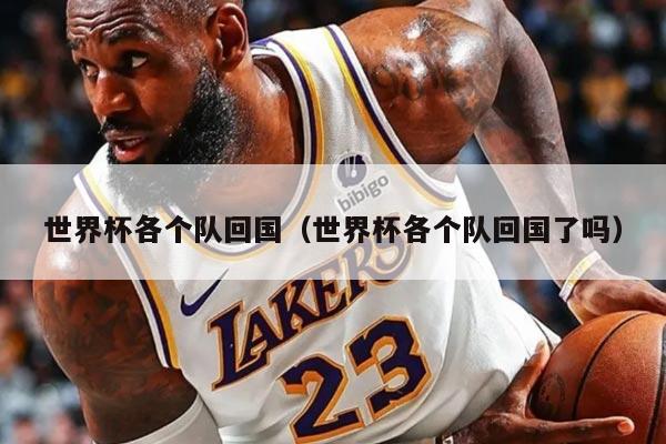 世界杯各个队回国（世界杯各个队回国了吗）