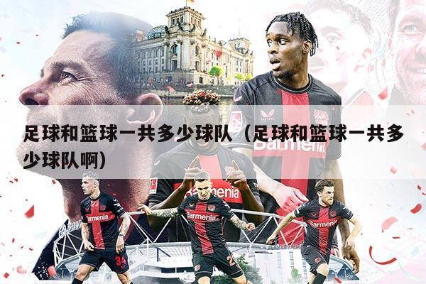 足球和篮球一共多少球队（足球和篮球一共多少球队啊）
