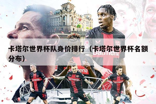 卡塔尔世界杯队身价排行（卡塔尔世界杯名额分布）