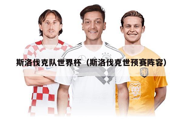 斯洛伐克队世界杯（斯洛伐克世预赛阵容）