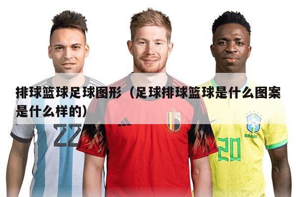 排球篮球足球图形（足球排球篮球是什么图案是什么样的）