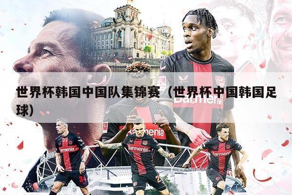 世界杯韩国中国队集锦赛（世界杯中国韩国足球）