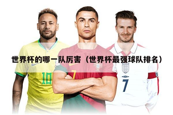 世界杯的哪一队厉害（世界杯最强球队排名）