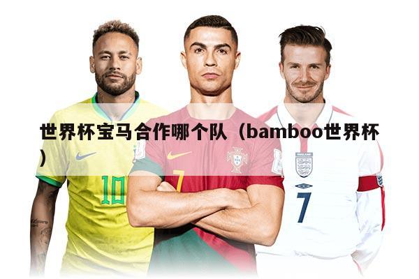 世界杯宝马合作哪个队（bamboo世界杯）