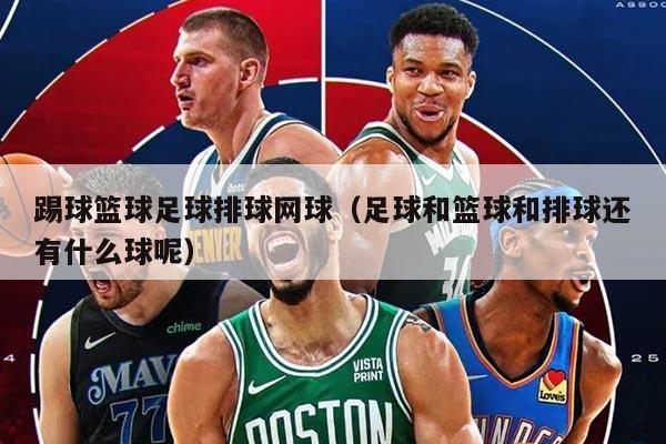 踢球篮球足球排球网球（足球和篮球和排球还有什么球呢）