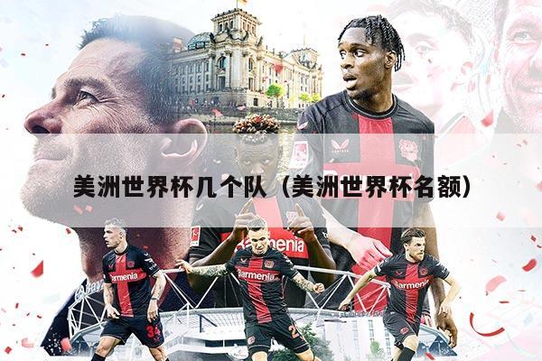 美洲世界杯几个队（美洲世界杯名额）