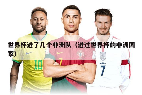 世界杯进了几个非洲队（进过世界杯的非洲国家）