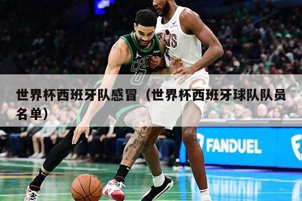 世界杯西班牙队感冒（世界杯西班牙球队队员名单）