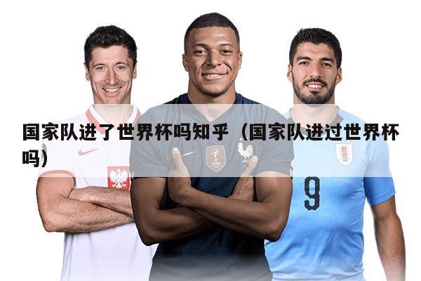 国家队进了世界杯吗知乎（国家队进过世界杯吗）