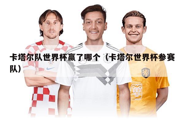 卡塔尔队世界杯赢了哪个（卡塔尔世界杯参赛队）