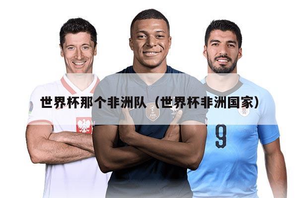 世界杯那个非洲队（世界杯非洲国家）