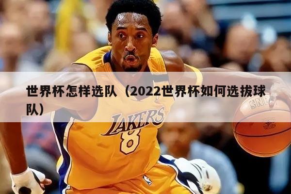 世界杯怎样选队（2022世界杯如何选拔球队）