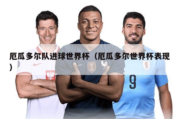 厄瓜多尔队进球世界杯（厄瓜多尔世界杯表现）