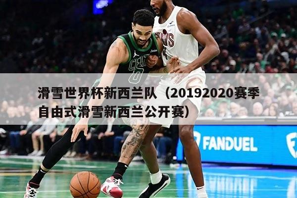 滑雪世界杯新西兰队（20192020赛季自由式滑雪新西兰公开赛）