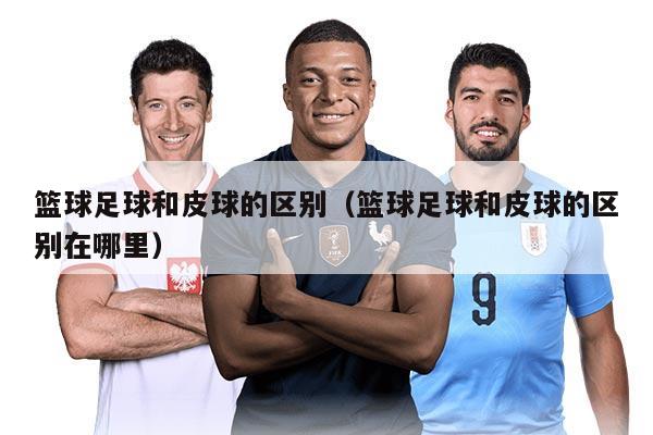 篮球足球和皮球的区别（篮球足球和皮球的区别在哪里）