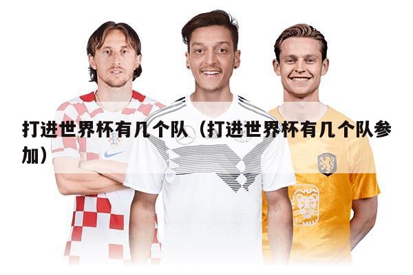 打进世界杯有几个队（打进世界杯有几个队参加）