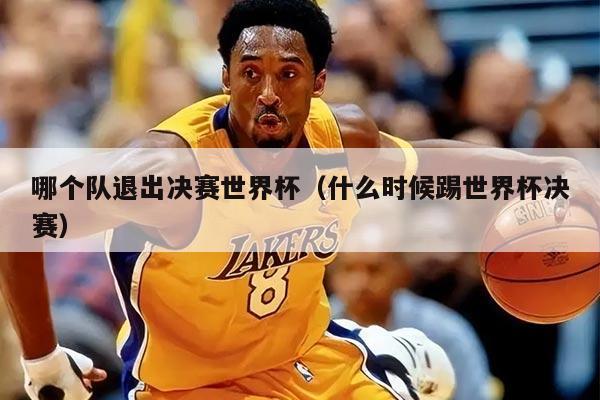 哪个队退出决赛世界杯（什么时候踢世界杯决赛）