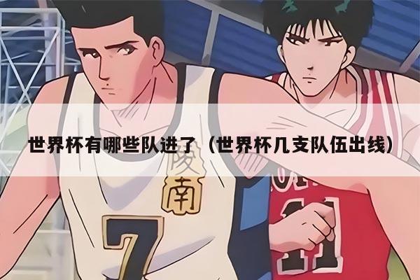 世界杯有哪些队进了（世界杯几支队伍出线）
