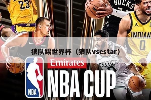 狼队踢世界杯（狼队vsestar）