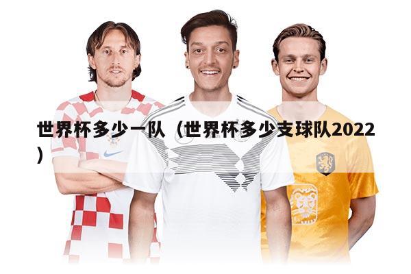 世界杯多少一队（世界杯多少支球队2022）