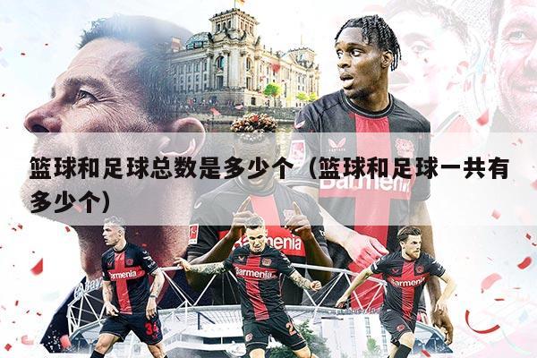 篮球和足球总数是多少个（篮球和足球一共有多少个）