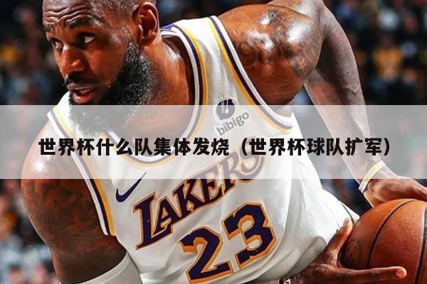 世界杯什么队集体发烧（世界杯球队扩军）