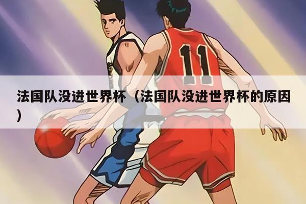 法国队没进世界杯（法国队没进世界杯的原因）