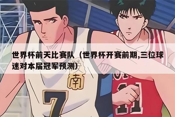 世界杯前天比赛队（世界杯开赛前期,三位球迷对本届冠军预测）
