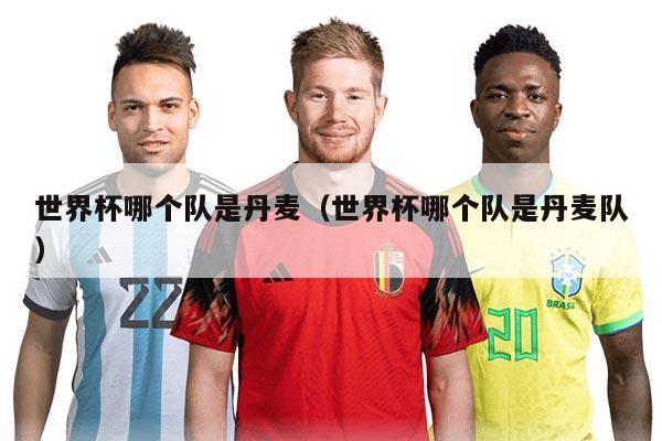 世界杯哪个队是丹麦（世界杯哪个队是丹麦队）