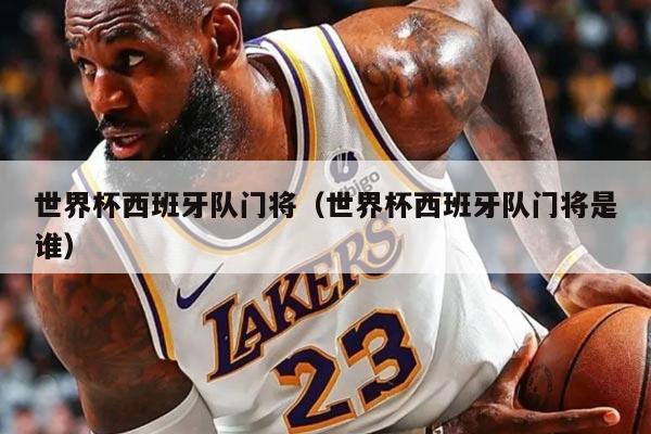 世界杯西班牙队门将(世界杯西班牙队门将是谁)